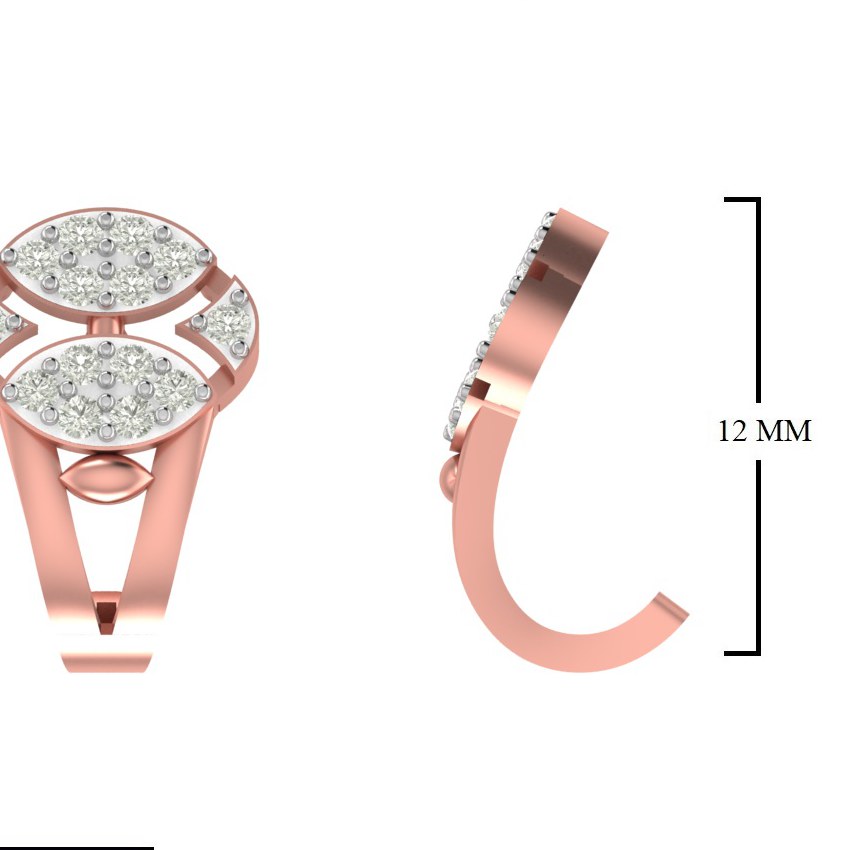 CAD EARRINGS (CT2065)