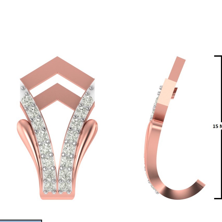 CAD EARRINGS (CT2069)