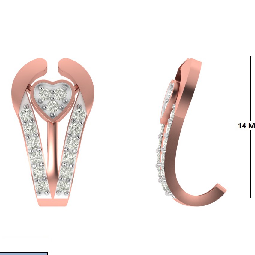 CAD EARRINGS (CT2070)